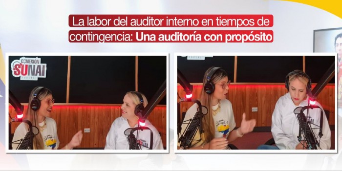 La labor del auditor interno en tiempos de contingencia: Una auditoría con propósito